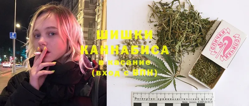 Конопля SATIVA & INDICA  гидра онион  Карачаевск 